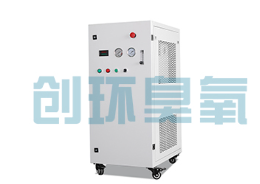 晋城石斑鱼养殖水质调控完整指南:臭氧发生器配置与操作步骤