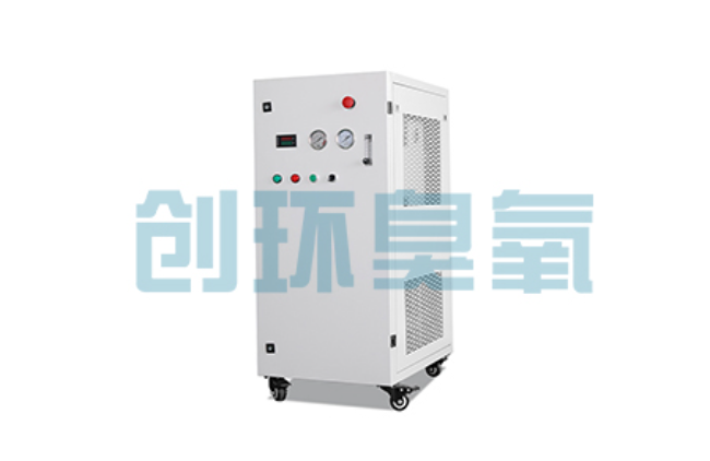 晋城比传统换水更高效?臭氧发生器在石斑鱼养殖中的水质净化原理解析
